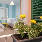 Kuca Za Odmor Polus Holiday home