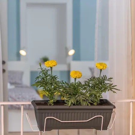 Kuca Za Odmor Polus Hébergement de vacances Trogir