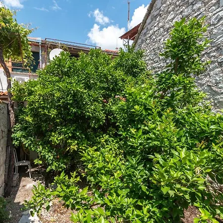 Kuca Za Odmor Polus Hébergement de vacances