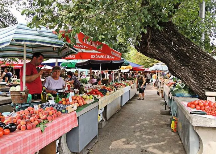 Kuca Za Odmor Polus Hébergement de vacances