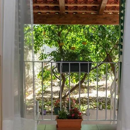 Kuca Za Odmor Polus 別荘 *