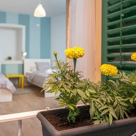 Kuca Za Odmor Polus Дом отдыха