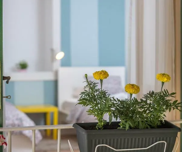 Kuca Za Odmor Polus Будинок відпочинку Трогір